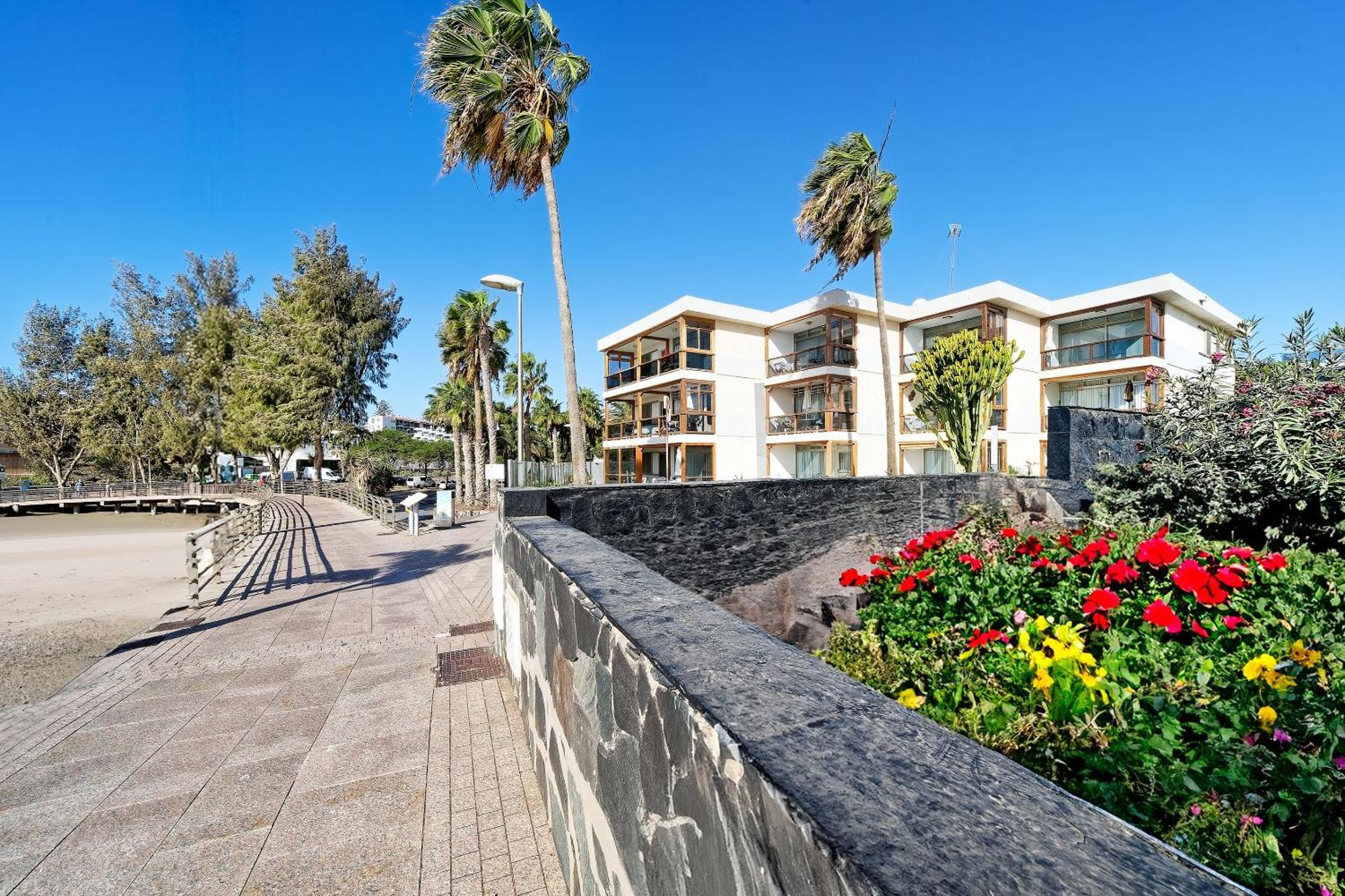 San Agustín Apartamentos Los Papagayos מראה חיצוני תמונה